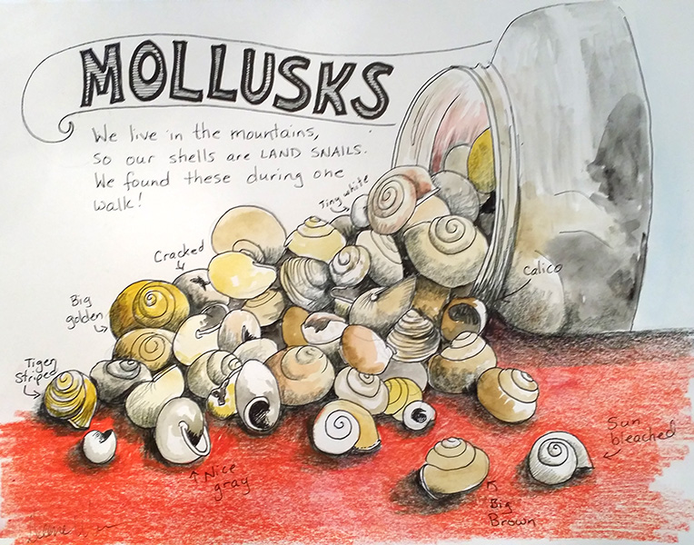 Mollusks