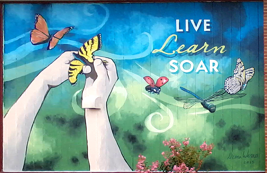 Live Learn Soar